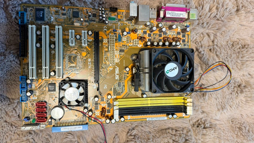 Asus m2n socket - asus, am2