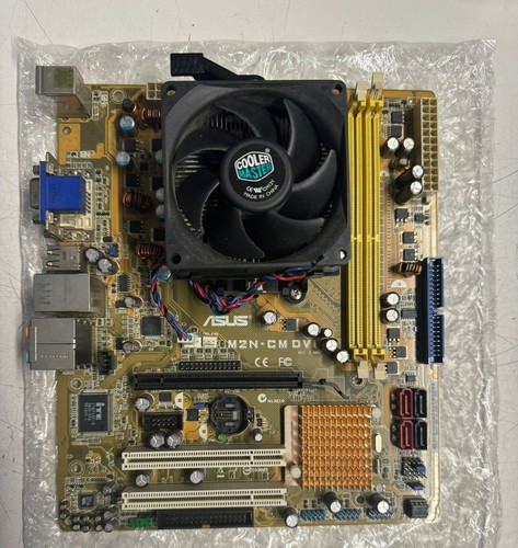 Scheda madre asus - asus, dvi