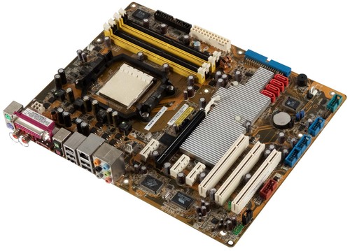 Scheda madre asus - scheda,